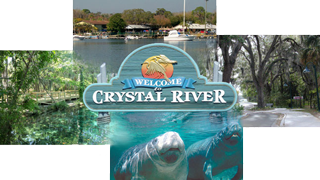 City of Crystal River Florida Logo Waterfront Home for Sale