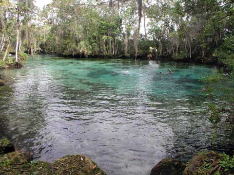 Citrus County, Crystal River, 3 Sisters Springs